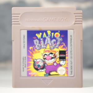 Wario Blast Featuring Bomberman (02)
